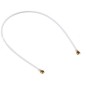 Câble coaxial Wifi pour Samsung Galaxy A11, M11 (A115F/M115F) Blanc