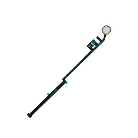 Bouton home complet pour iPad 7/8 10.2" Or