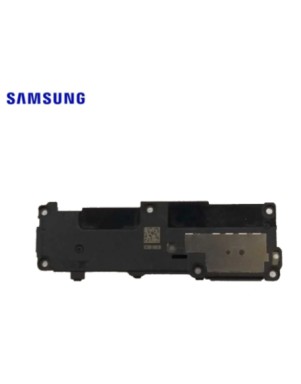 Haut Parleur Samsung Galaxy S23 Ultra (S918B)