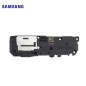 Haut parleur Samsung Galaxy A55 5G (A556B)
