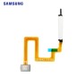 Lecteur d'empreintes digitales Samsung Galaxy A22 5G (A226B) Menthe