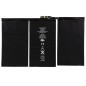 Batterie pour iPad 2