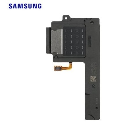 Haut parleur Samsung Tab A 10.1 2019 (T510/T515)