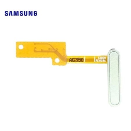 Lecteur d'empreinte Samsung Galaxy Tab S9 FE 10.9" (X510/X516B) Argent