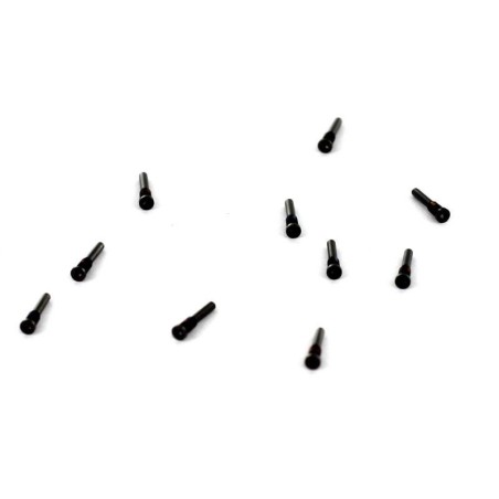 Kit de vis Torx Noir (X10) pour iPhone X