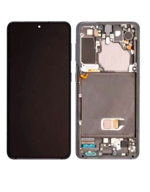 Ecran complet pour Samsung Galaxy S21 5G (G991B) Gris