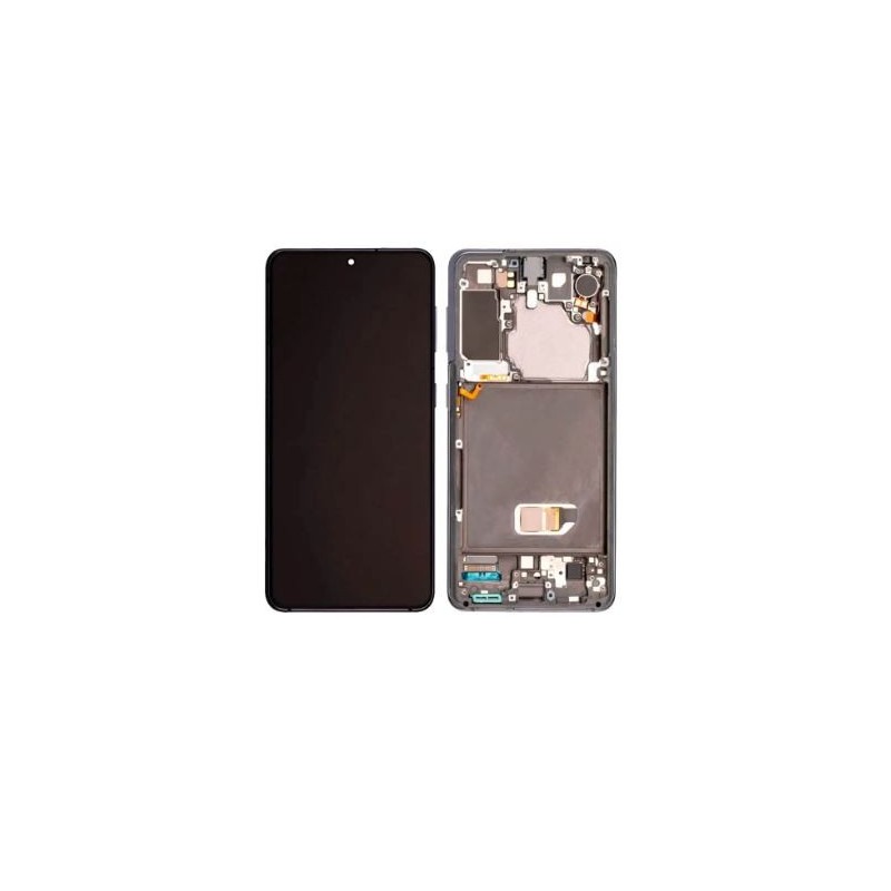 Ecran complet pour Samsung Galaxy S21 5G (G991B) Gris