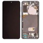 Ecran complet pour Samsung Galaxy S21 5G (G991B) Gris