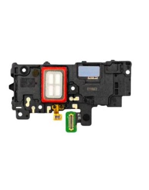 Antenne pour Samsung Galaxy S21 Plus (G996B)