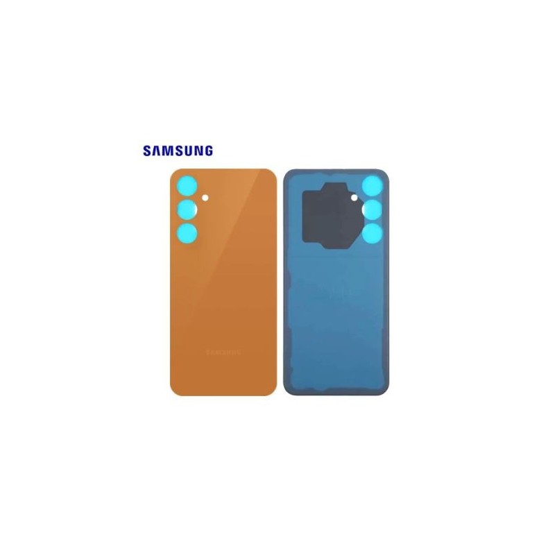 Vitre arrière Samsung Galaxy S23 FE (S711B) Orange