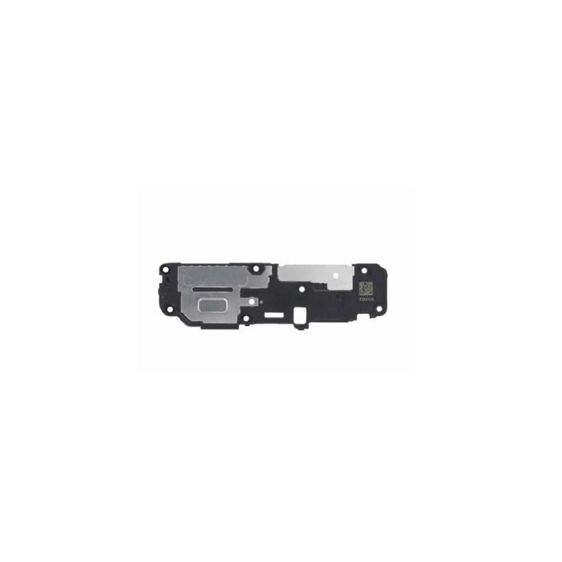 Haut parleur pour Samsung Galaxy S24 (S921B)