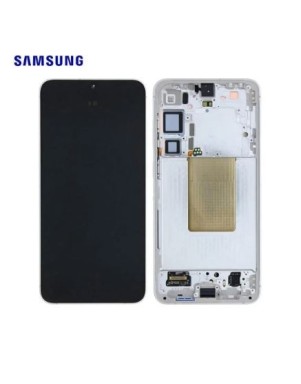 Ecran complet Samsung Galaxy S24 Plus (S926B) Argent