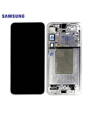 Ecran Complet Samsung Galaxy S25 Plus (S936B) Gris