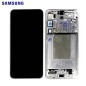 Ecran Complet Samsung Galaxy S25 Plus (S936B) Gris