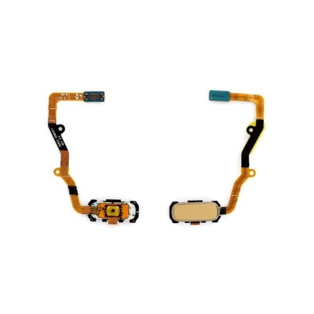 Bouton Home Samsung Galaxy S7 Edge (G935F) Or