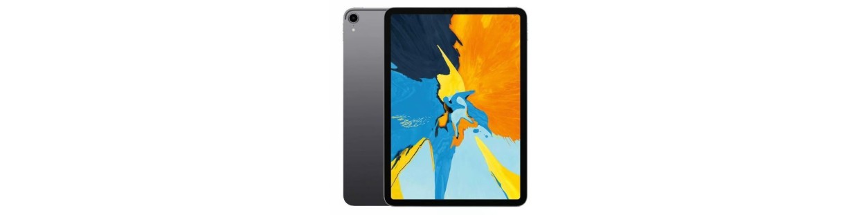 iPad Pro 11" 1ère Gén (A1934/A1980/A2013) 2018