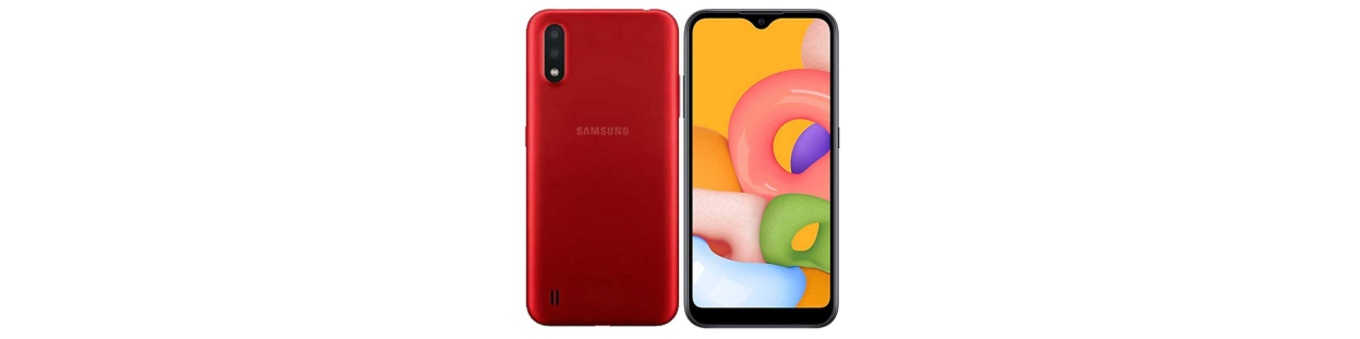 Galaxy A01 (SM-A015F/DS)