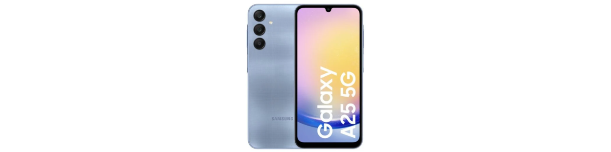 Galaxy A25 5G (SM-A256E/DS)