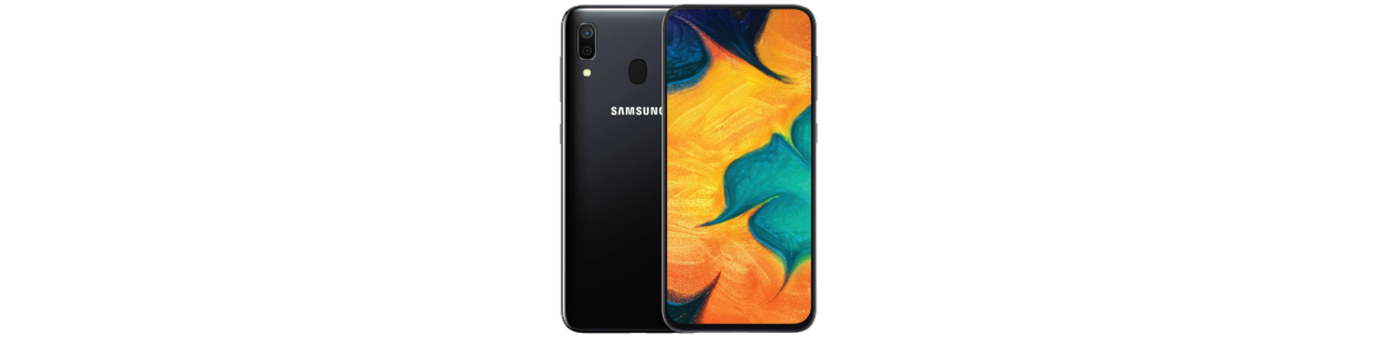 Galaxy A30 (SM-A305FN/DS)