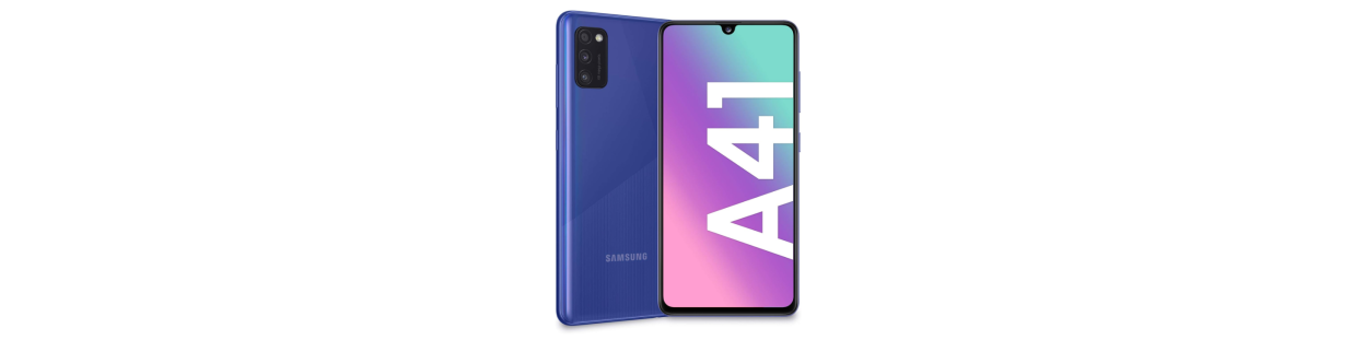 Galaxy A41 (SM-A415F/DSN)