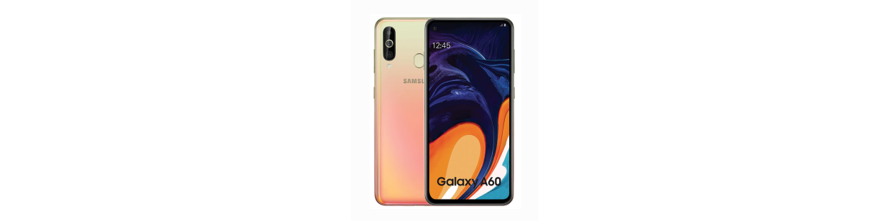 Galaxy A60 (SM-A606F)