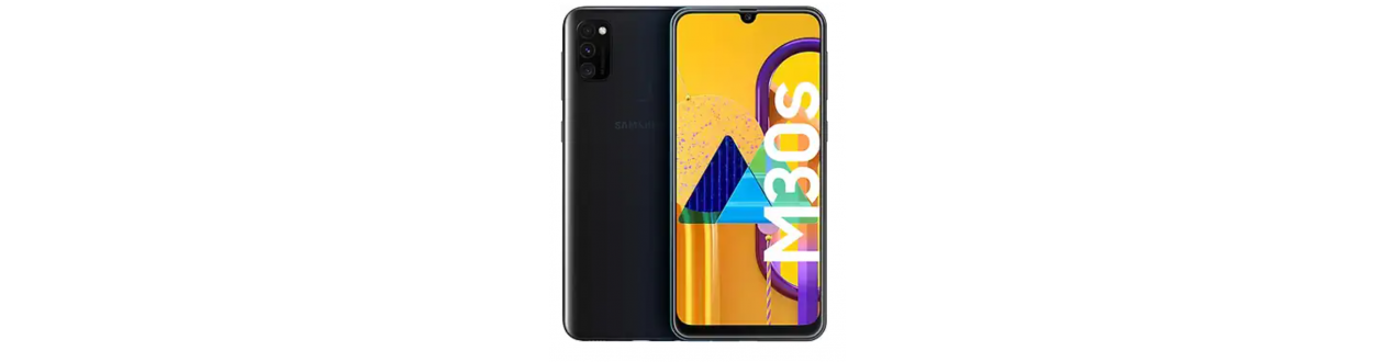 Galaxy M30s (M307F)