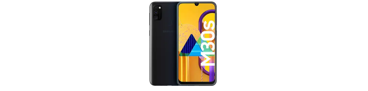 Galaxy M30s (SM-M307F/DS)