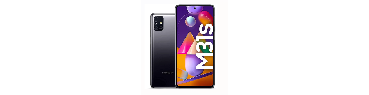 Galaxy M31s (M317F)