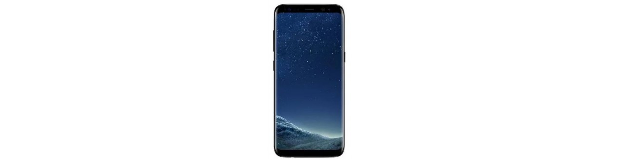 Galaxy S8 (G950F)