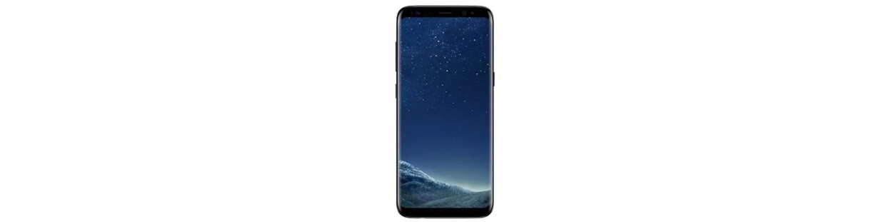Galaxy S8 (SM-G950F)