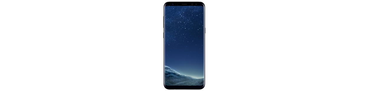 Galaxy S8 Plus (SM-G955F)