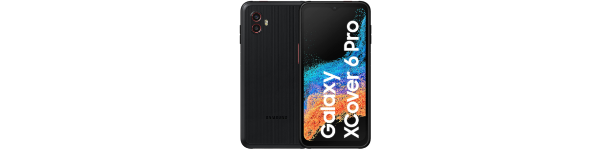 Xcover 6 Pro (SM-G736B/DS)