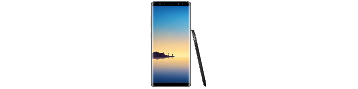 Galaxy Note 8 (SM-N950F/DS)