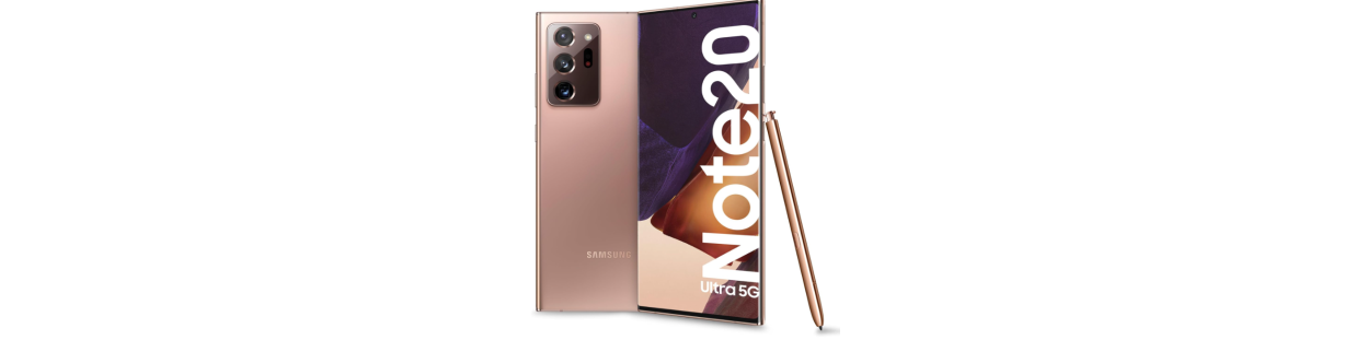 Galaxy Note 20 (SM-N980F/DS)