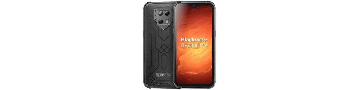 BV9800 PRO