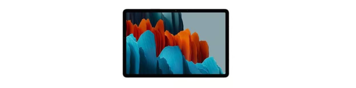 Galaxy Tab S7+ 12.4"  (T970/T975/T976B)