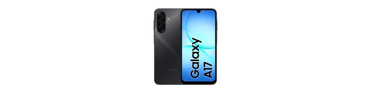 Galaxy A17 4G (SM-A175F/DS)