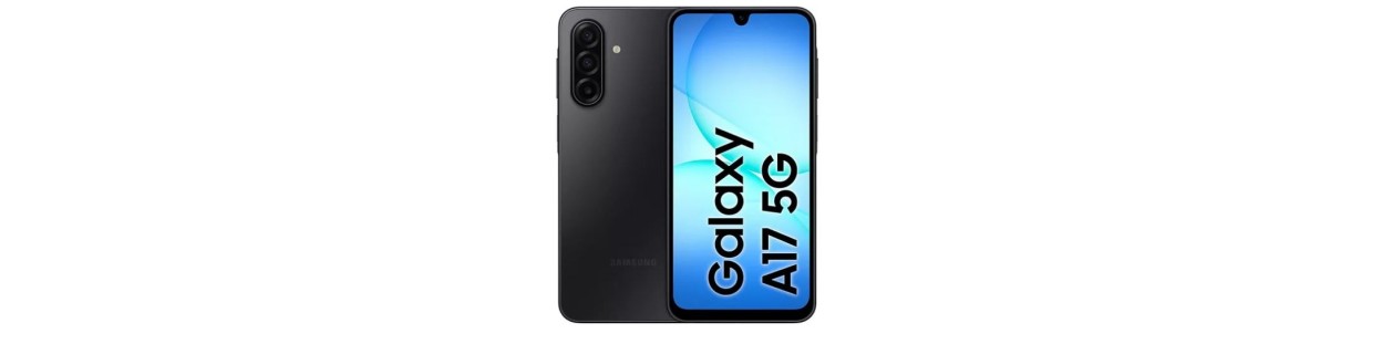 Galaxy A17 5G (SM-A176B/DS)