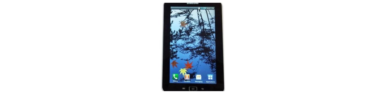 Galaxy Tab 7.0" (p1000)