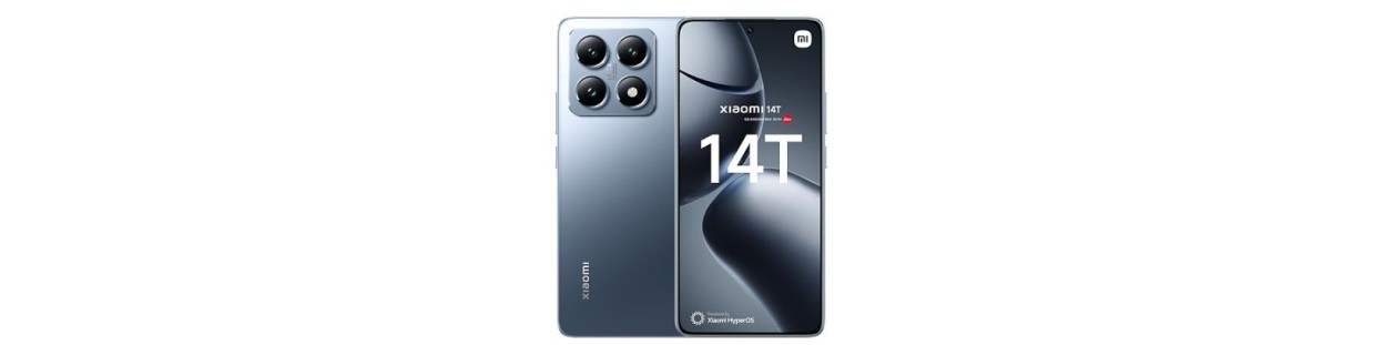  14T
