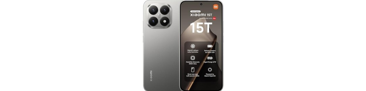 15T