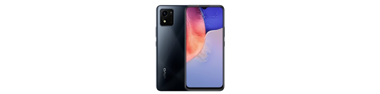 vivo 01