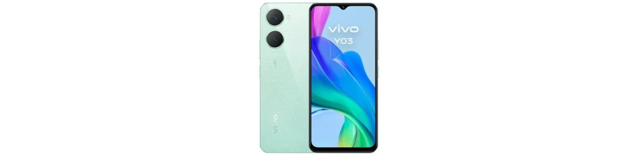 vivo 03