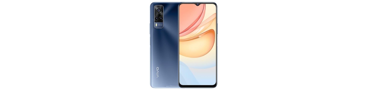 vivo