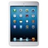 iPad mini 2