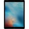 iPad Pro 12.9" (2015)