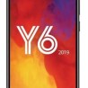 Y6 2019