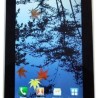 Galaxy Tab 7.0" (p1000)